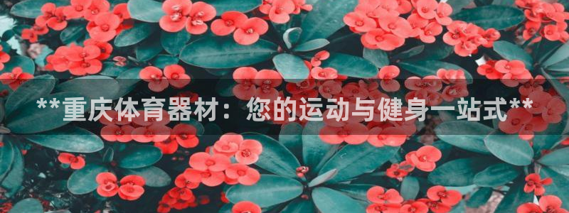 耀世娱乐能不能提现到微信：**重庆体育器材：您的运动