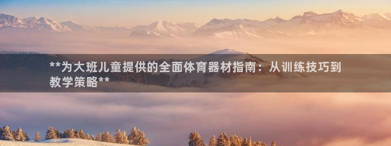 耀世集团董事长儿子：**为大班儿童提供的全面体育器材