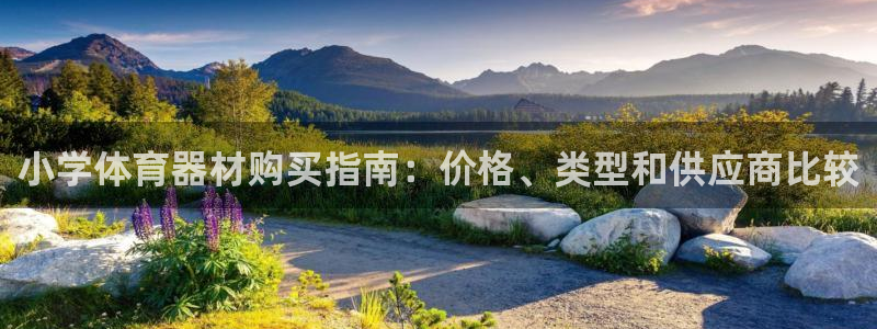 耀世平台代理多少钱一次：小学体育器材购买指南：价格、