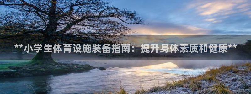 耀世璀璨：**小学生体育设施装备指南：提升身体素质和
