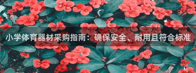 耀世娱乐总代理电话：小学体育器材采购指南：确保安全、