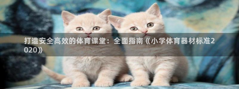 耀世集团七天三倍彩金活动：打造安全高效的体育课堂：全