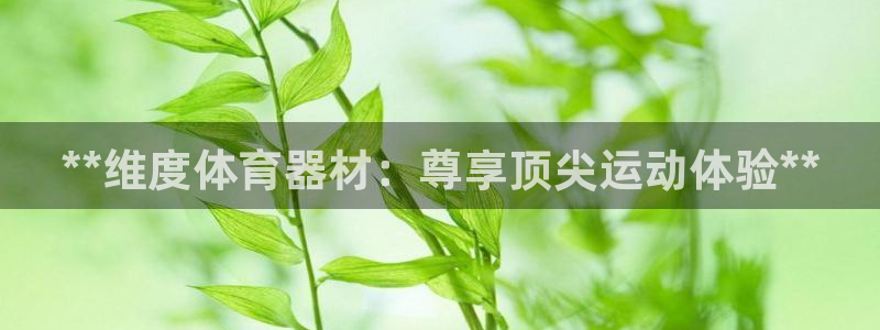 耀世平台app下载官网：**维度体育器材：尊享顶尖运