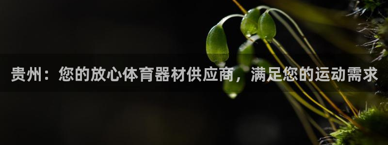 耀世平台最新注册地址：贵州：您的放心体育器材供应商，