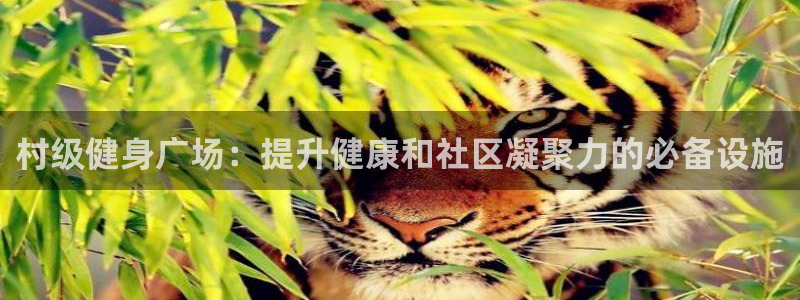 耀世娱乐列7O777：村级健身广场：提升健康和社区凝