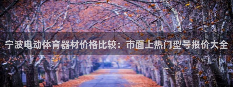 耀世娱乐的494o3 主管：宁波电动体育器材价格比较