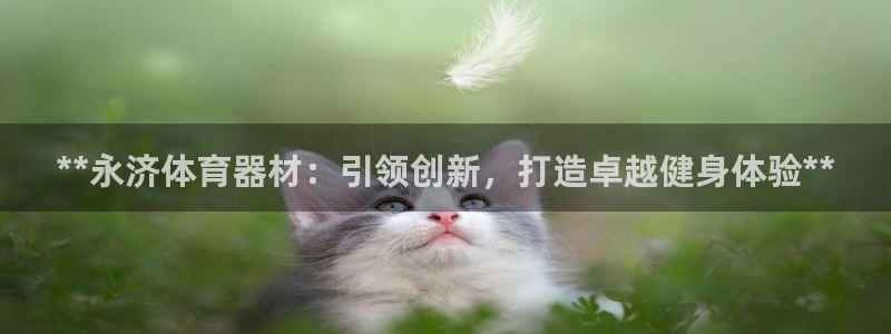 耀世雷霆下载：**永济体育器材：引领创新，打造卓越健