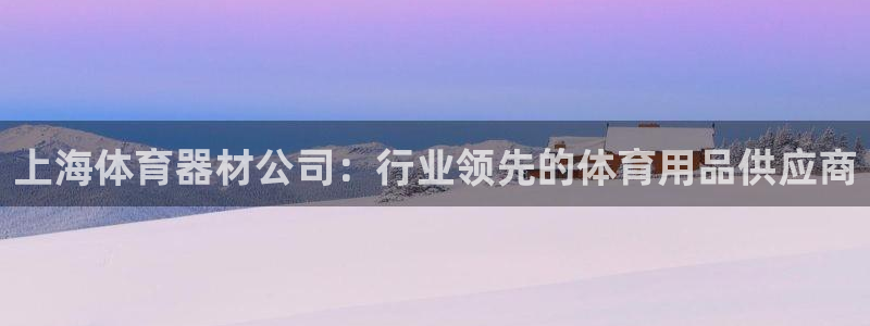 耀世圣主：上海体育器材公司：行业领先的体育用品供应商