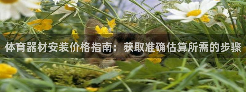 耀世平台皮皮虾怎么样：体育器材安装价格指南：获取准确