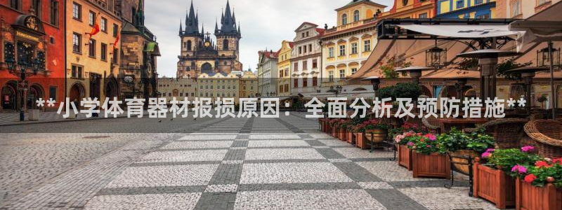 耀世开放什么意思：**小学体育器材报损原因：全面分析
