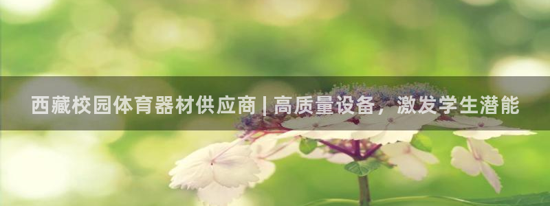 耀世平台拿什么输入账号密码呢：西藏校园体育器材供应商