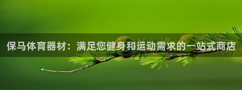耀世娱乐下载最新版本安装包大全：保马体育器材：满足您