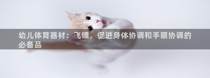 耀世娱乐挂机脚本怎么用：幼儿体育器材：飞镖，促进身体