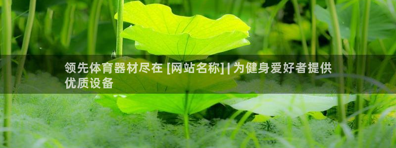 耀世挑战第三关怎么打：领先体育器材尽在 [网站名称]