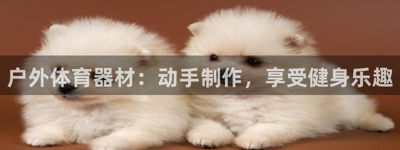 耀世微光mv：户外体育器材：动手制作，享受健身乐趣