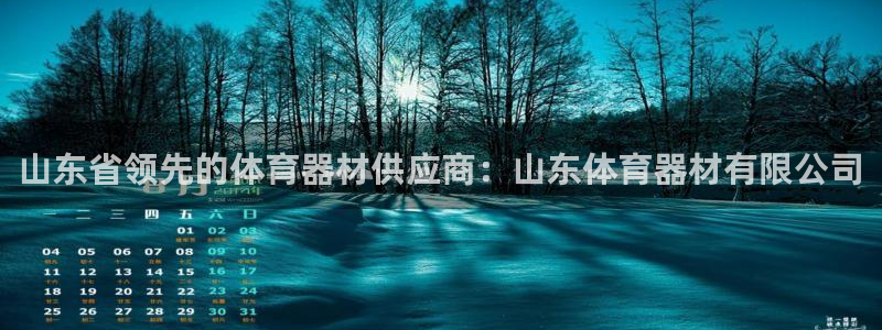 耀世平台注册流程图：山东省领先的体育器材供应商：山东