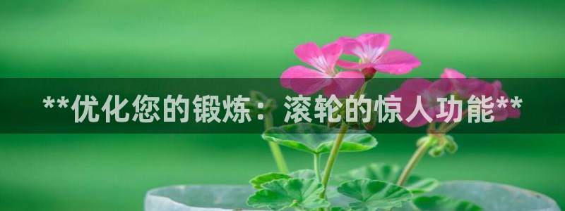 耀世娱乐挂机教程：**优化您的锻炼：滚轮的惊人功能*
