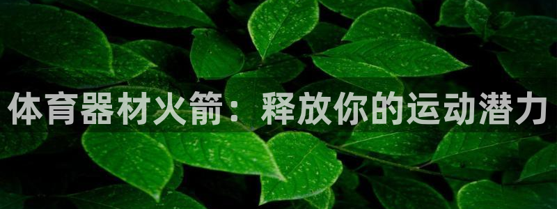 耀世三国官网：体育器材火箭：释放你的运动潜力