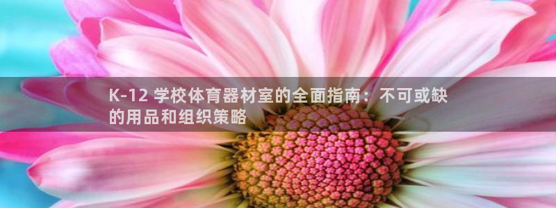 耀世平台寇 5O6917 耀世：K-12 学校体育器