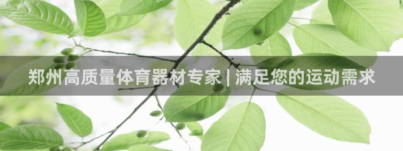 耀世娱乐黑钱吗是真的吗：郑州高质量体育器材专家 | 