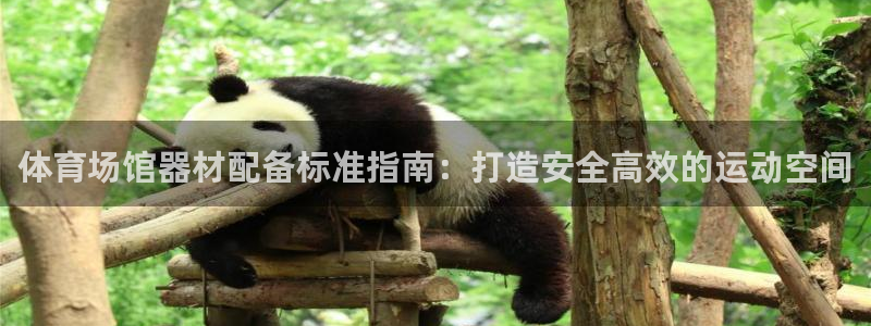 耀世天下的图片唯美：体育场馆器材配备标准指南：打造安