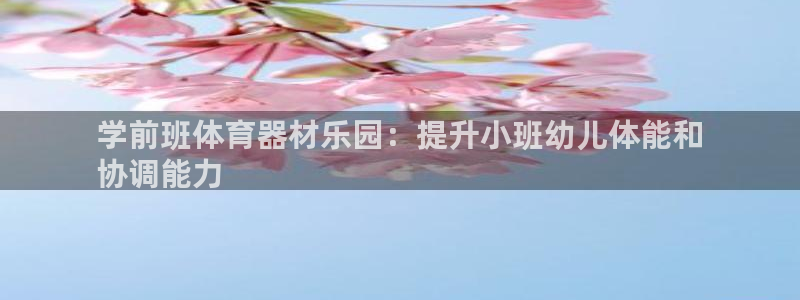 耀世平台佳 5O6917 耀世：学前班体育器材乐园：