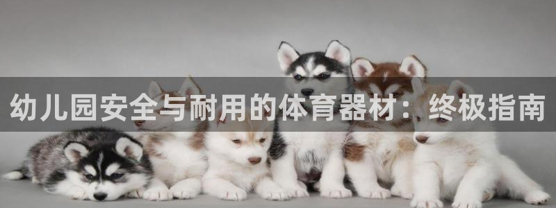 耀世集团员工福利待遇：幼儿园安全与耐用的体育器材：终