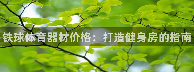 耀世平台拿什么输入账号密码：铁球体育器材价格：打造健