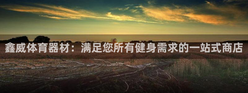 耀世娱乐平台官网首页：鑫威体育器材：满足您所有健身需