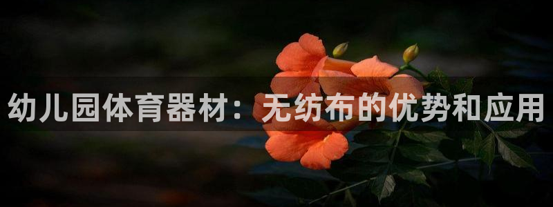 耀世平台代理怎么样啊：幼儿园体育器材：无纺布的优势和