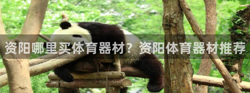 耀世的意思是什么：资阳哪里买体育器材？资阳体育器材推