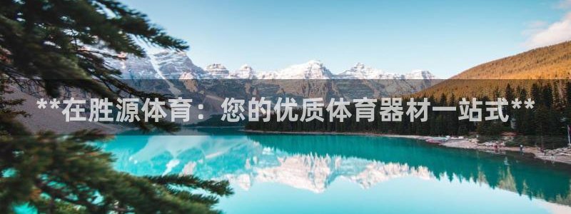 耀世捷科技：**在胜源体育：您的优质体育器材一站式*