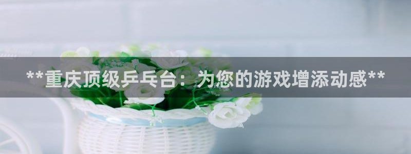 耀世娱乐能不能提现：**重庆顶级乒乓台：为您的游戏增