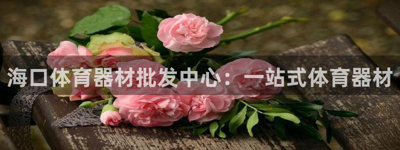 耀世娱乐挂机脚本怎么用：海口体育器材批发中心：一站式