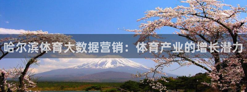 耀世娱乐招商注册 知乎账号：哈尔滨体育大数据营销：体