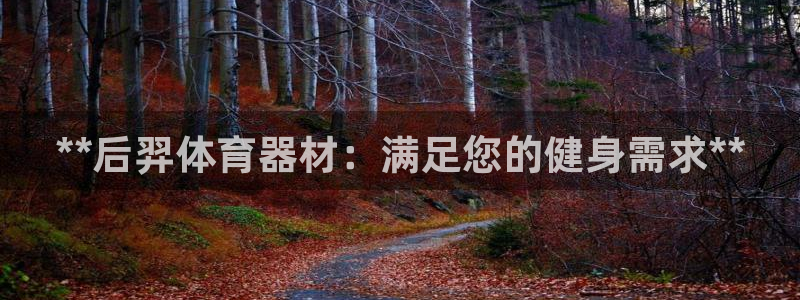 耀世国际集团董事长：**后羿体育器材：满足您的健身需