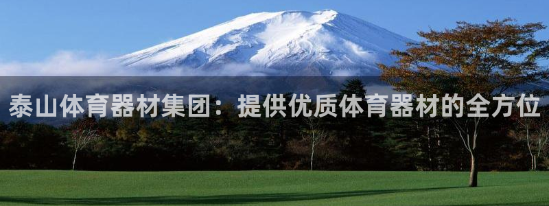 耀世璀璨什么意思：泰山体育器材集团：提供优质体育器材