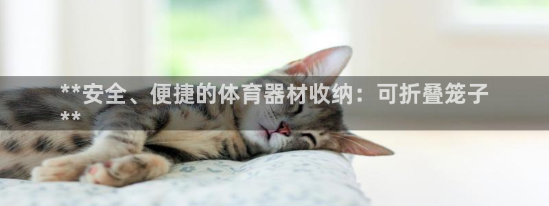 耀世娱乐老板叫什么：**安全、便捷的体育器材收纳：可