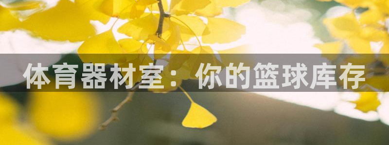 耀世娱乐家 411O31 耀世：体育器材室：你的篮球