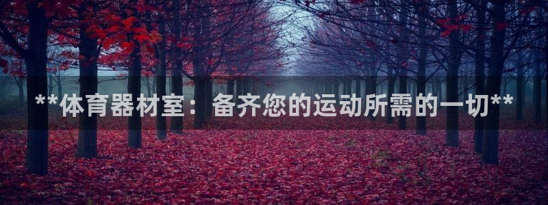 耀世娱乐如何登录平台账号：**体育器材室：备齐您的运