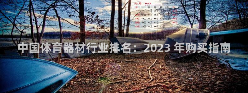 耀世平台登录地址：中国体育器材行业排名：2023 年