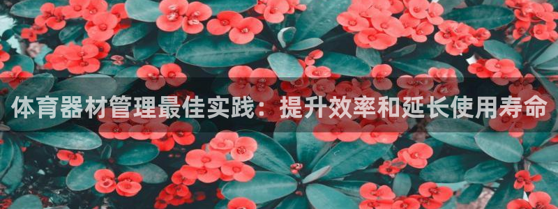 耀世娱乐可以玩吗是真的吗：体育器材管理最佳实践：提升
