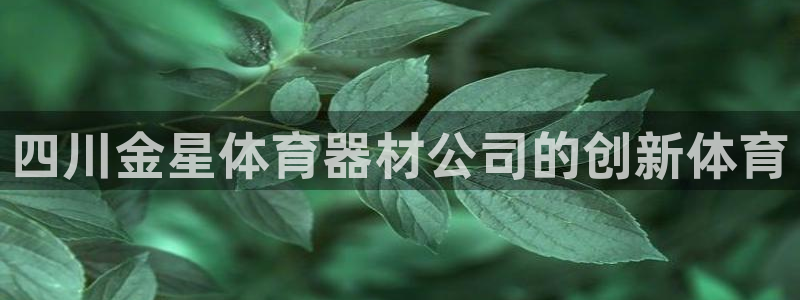 耀世娱乐丁6.7.5.1.3.8：四川金星体育器材公
