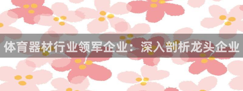 耀世影视：体育器材行业领军企业：深入剖析龙头企业