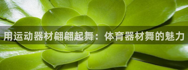 耀世天下的网名是什么意思啊：用运动器材翩翩起舞：体育
