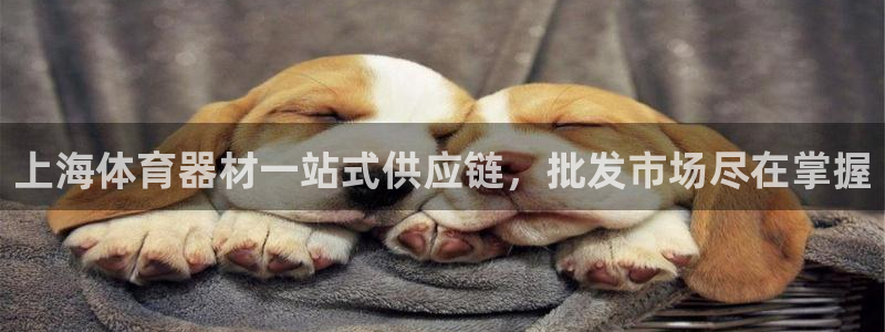 耀世的意思是什么：上海体育器材一站式供应链，批发市场