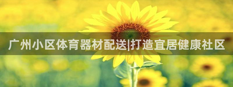 耀世娱乐老板叫什么：广州小区体育器材配送|打造宜居健