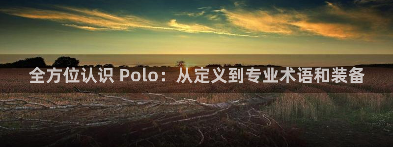耀世平台登录地址在哪：全方位认识 Polo：从定义到
