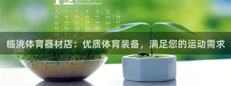 耀世平台代理怎么做的：临洮体育器材店：优质体育装备，