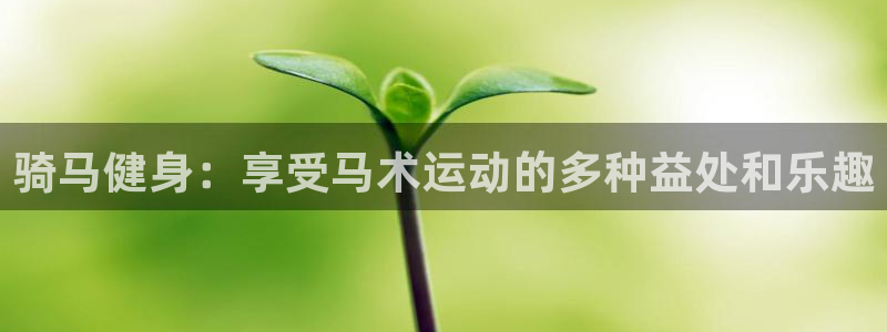 耀世娱乐注册：骑马健身：享受马术运动的多种益处和乐趣